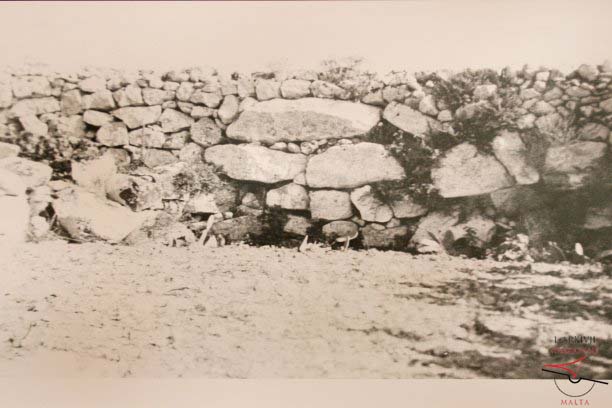 Tal-Bardan in Sannat