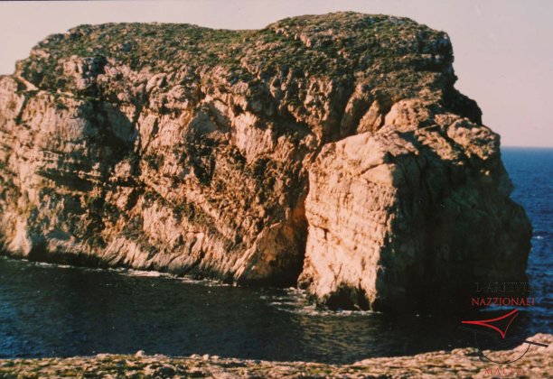 Fungus Rock
