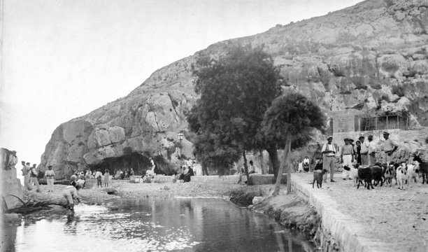 An idyllic view of the landing area at Xlendi Bay, with a herd of goats and curious onlookers adorning the image; photographer unknown.