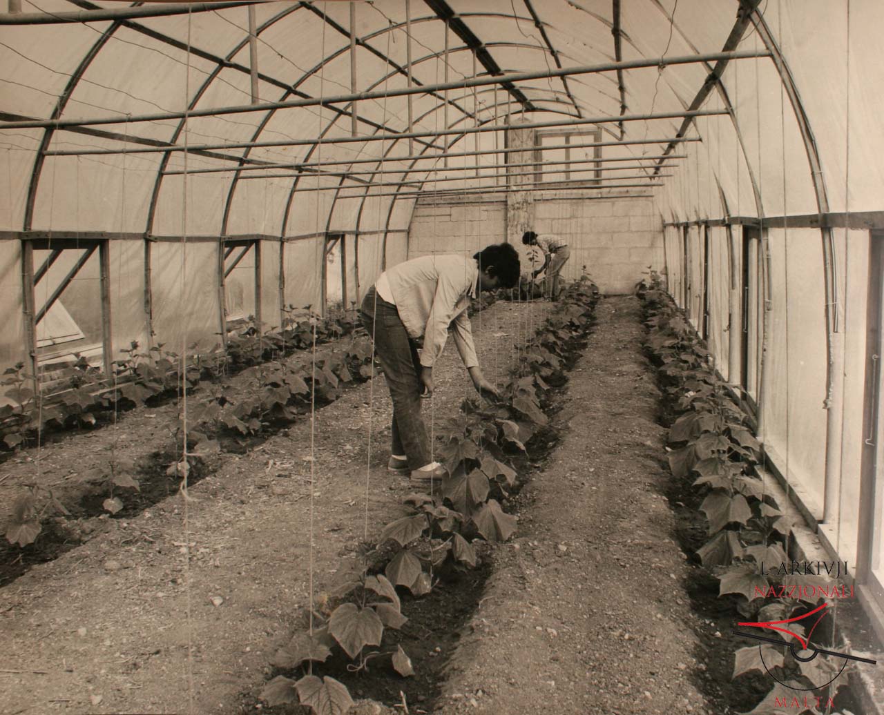 Agriculture School