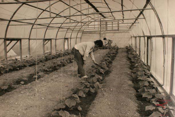 Agriculture School