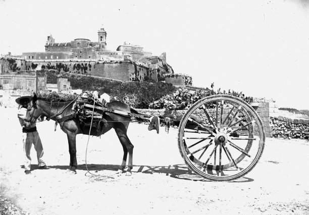 A horse drawn cart as captured by Richard Ellis.