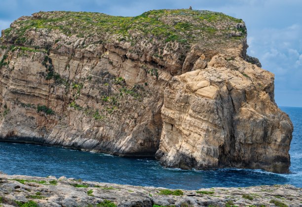Fungus Rock