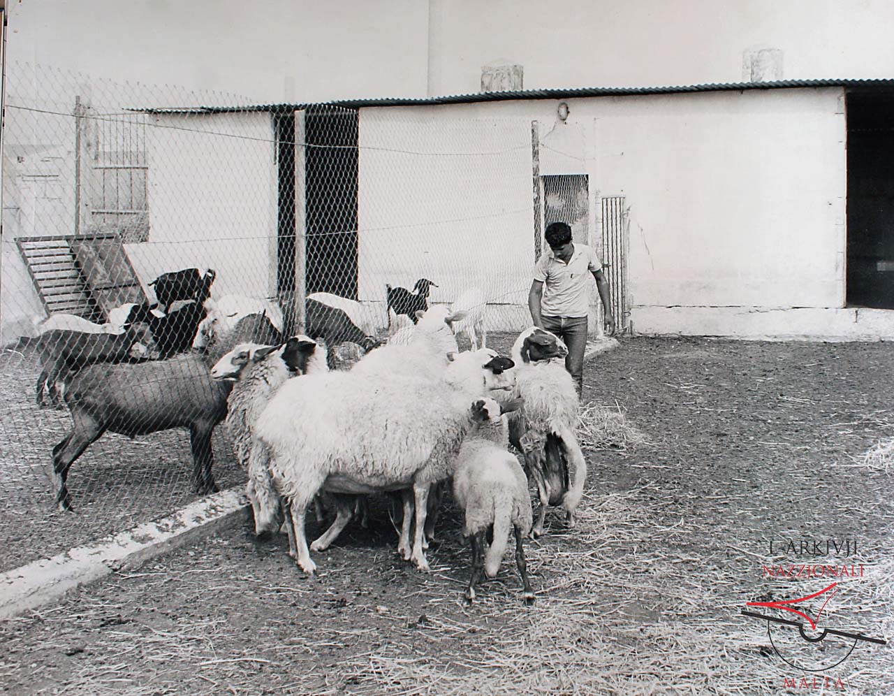 Agriculture School
