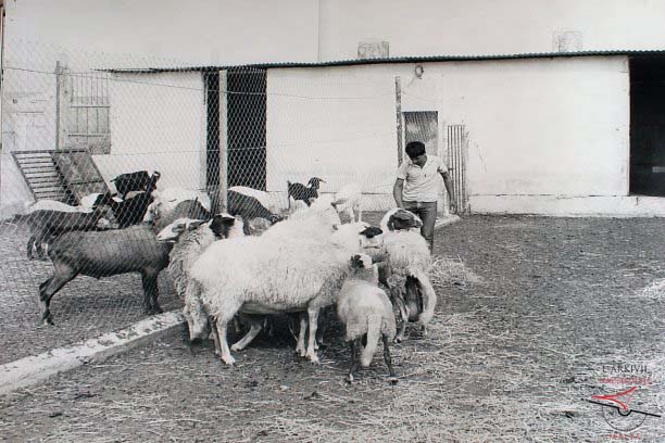 Agriculture School