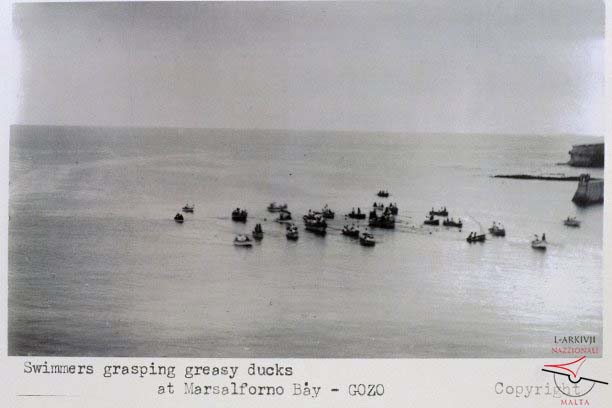 The greasy ducks
