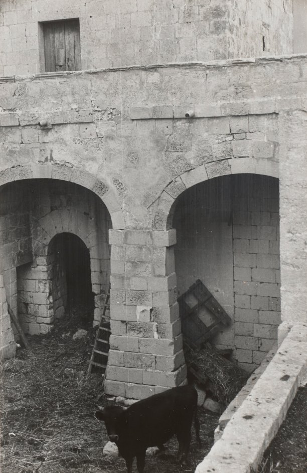Fortified Farm in Għasri (Interior Courtyard)