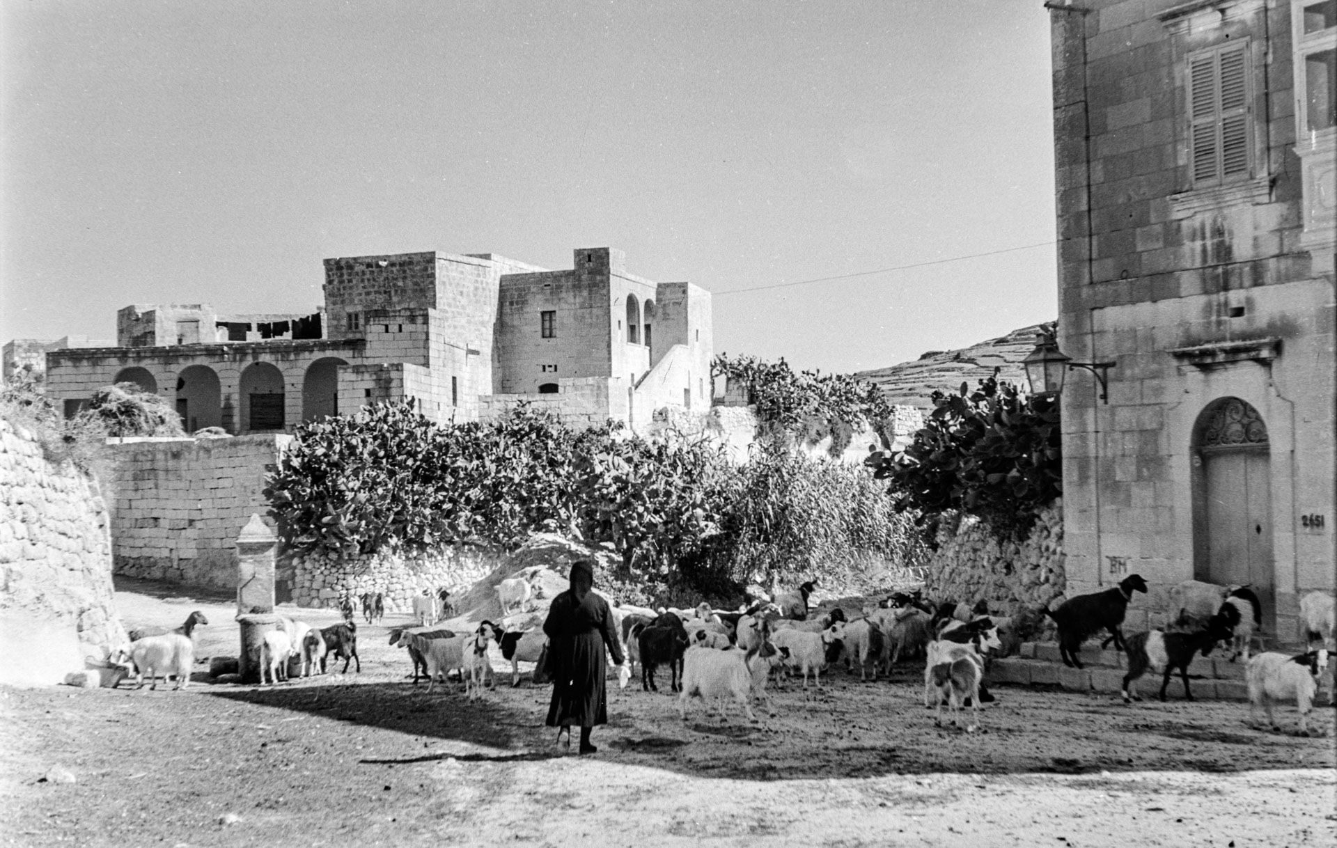 The road leading up to Zebbug, as captured by Guido Stilon in the 1960s.