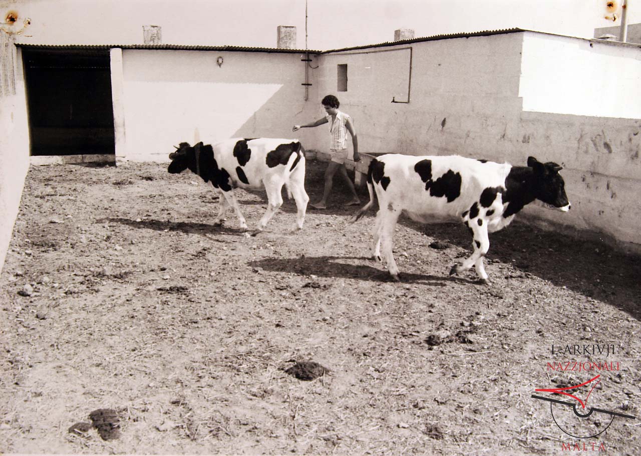 Gozo Experimental Farm