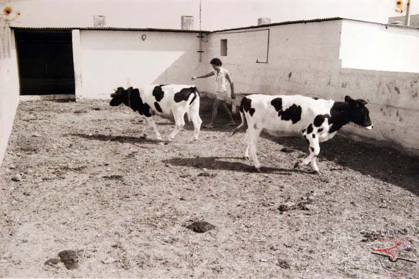 Gozo Experimental Farm