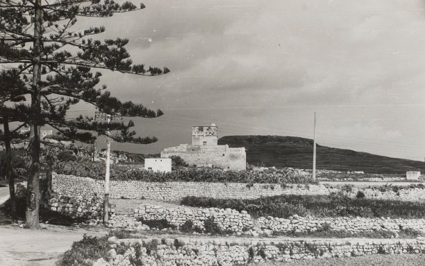 Foritified farm
