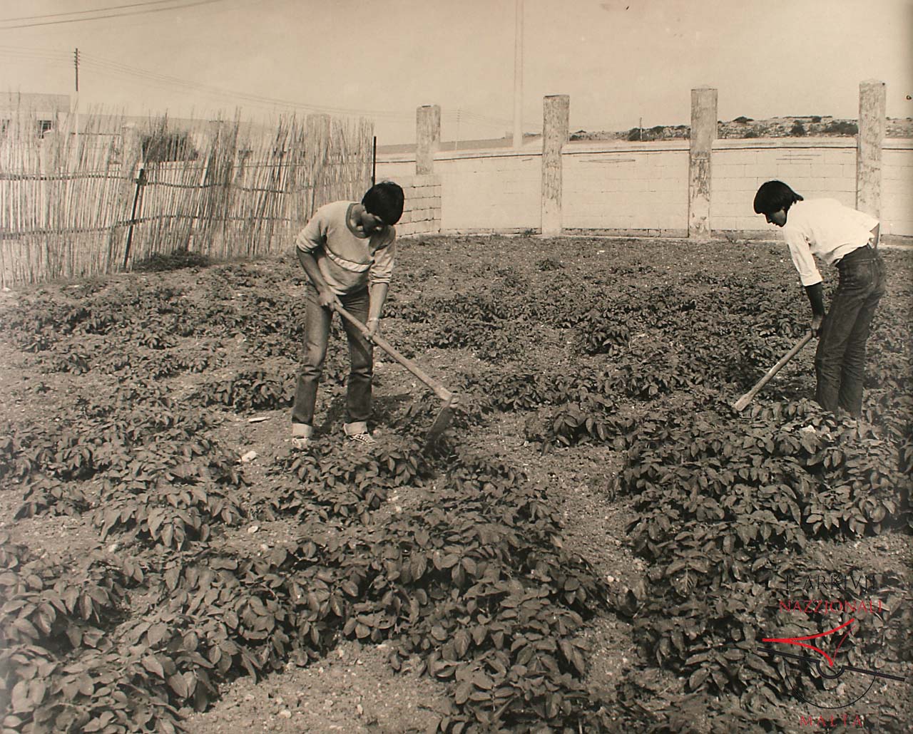 Agriculture School