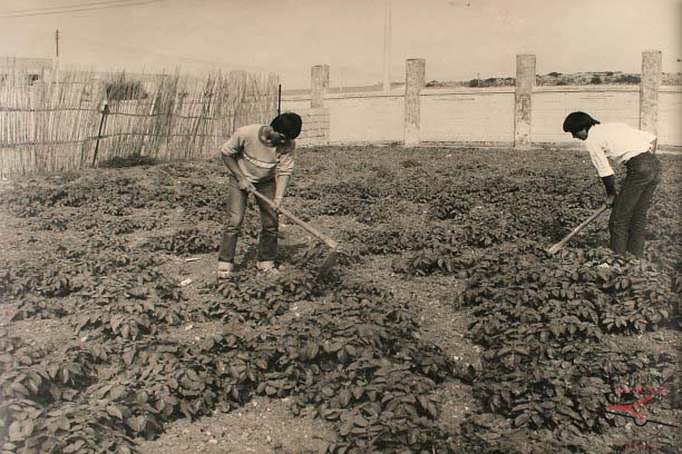 Agriculture School