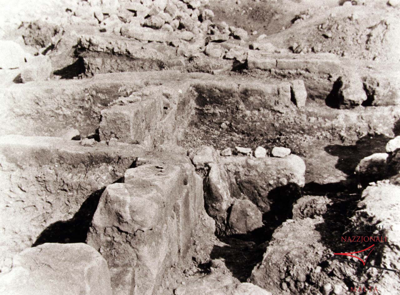 Roman Villa excavations