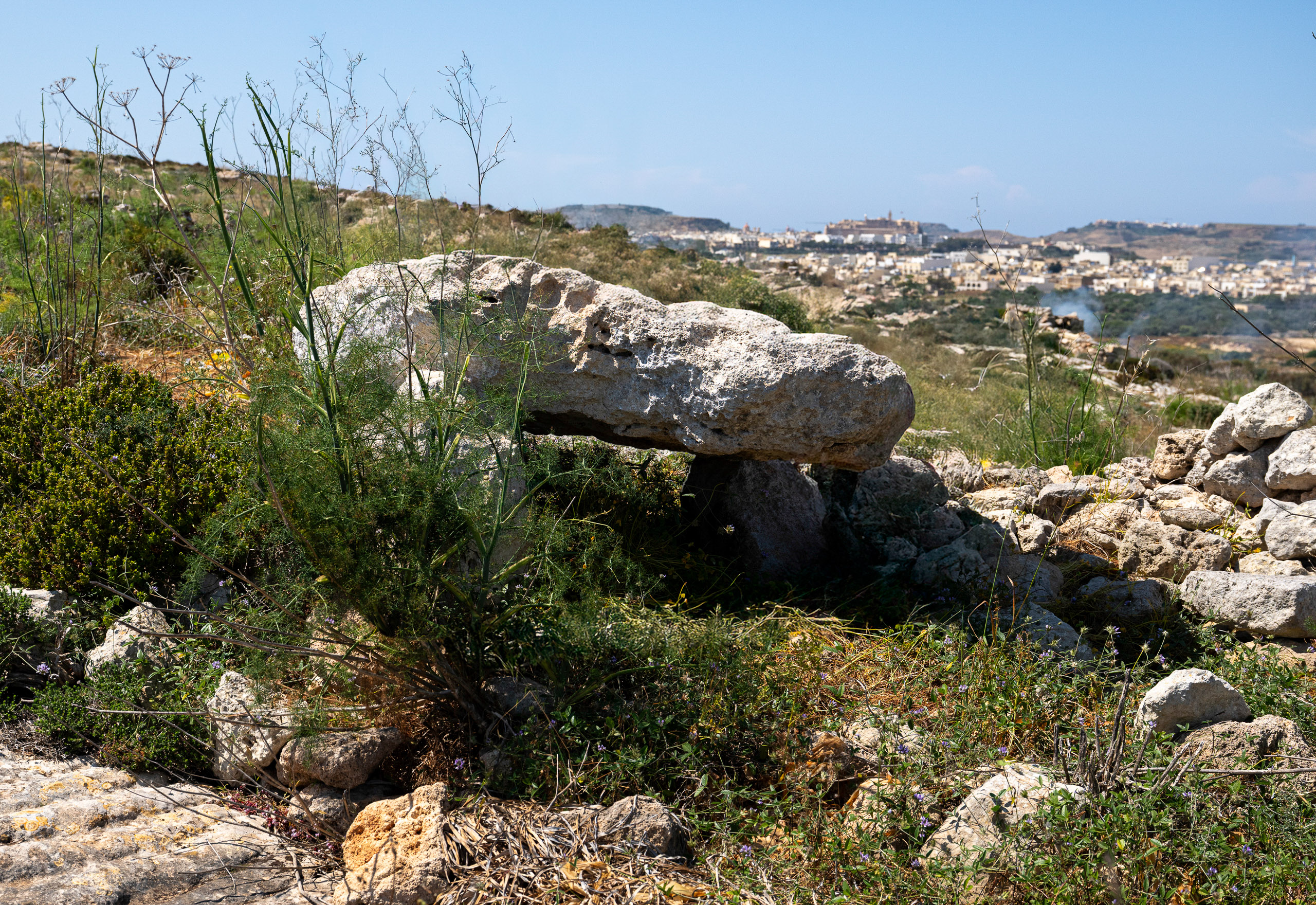 Id-Dura tax-Xagħra l-Kbira at Ta’ Ċenċ