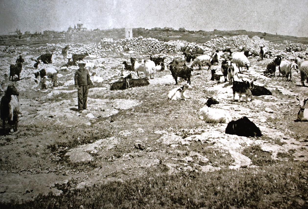 Farmers with their herds