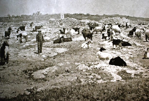 Farmers with their herds