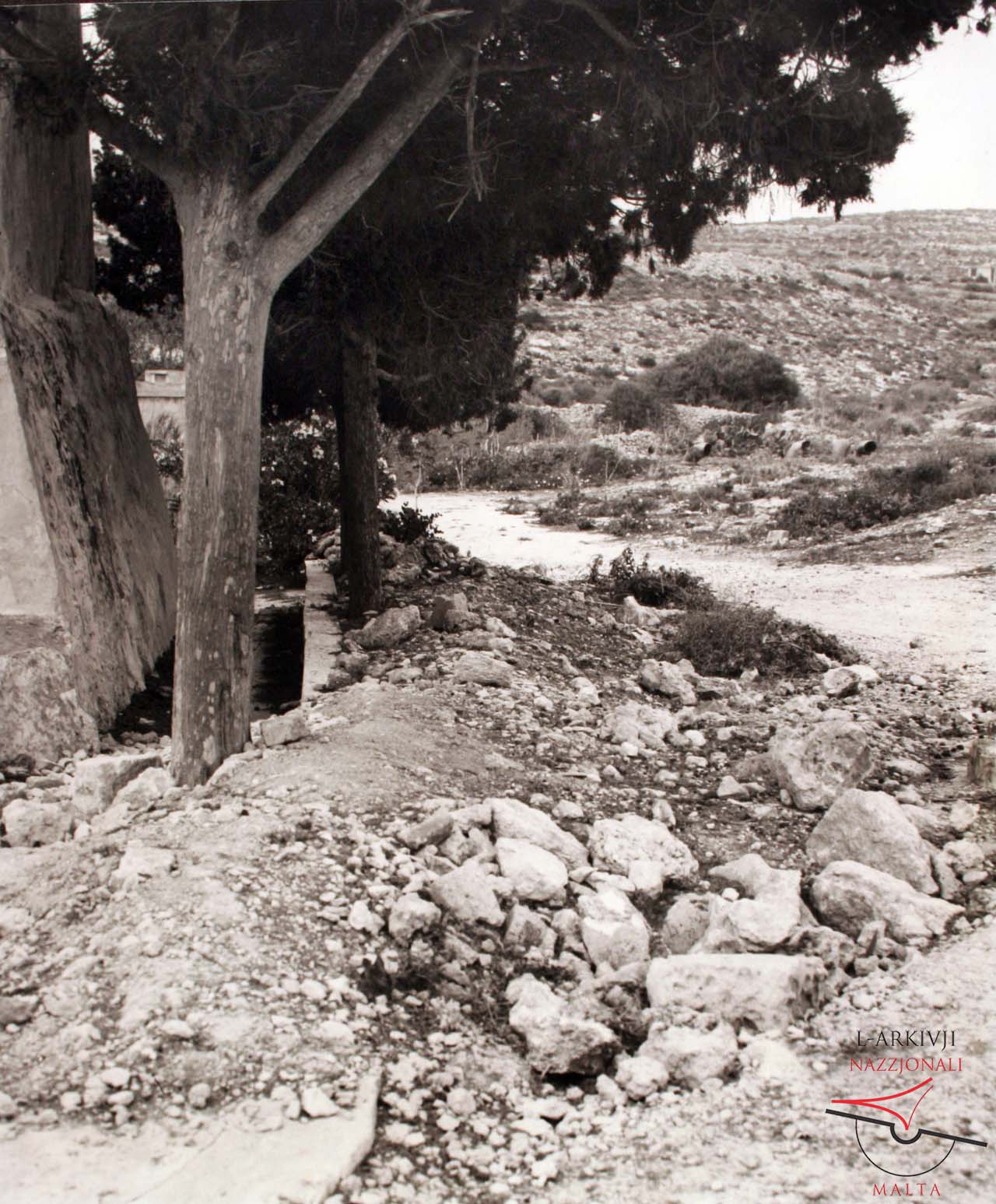 Street in Comino