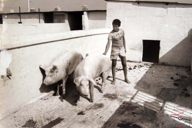 Gozo Experimental Farm