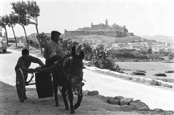 A donkey cart in Victoria.