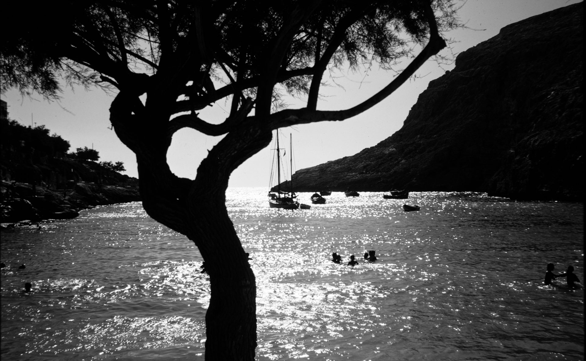A bush silhouetted against the sparkling water of Xlendi Bay, as captured by Guido Stilon in the 1960s.