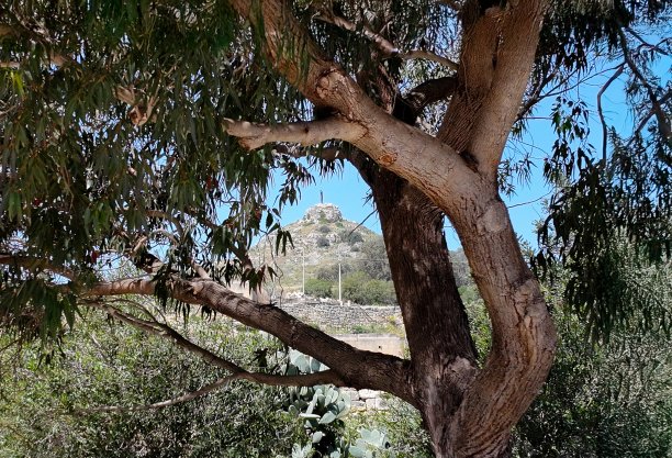 Tas-Salvatur Hill framed by nature