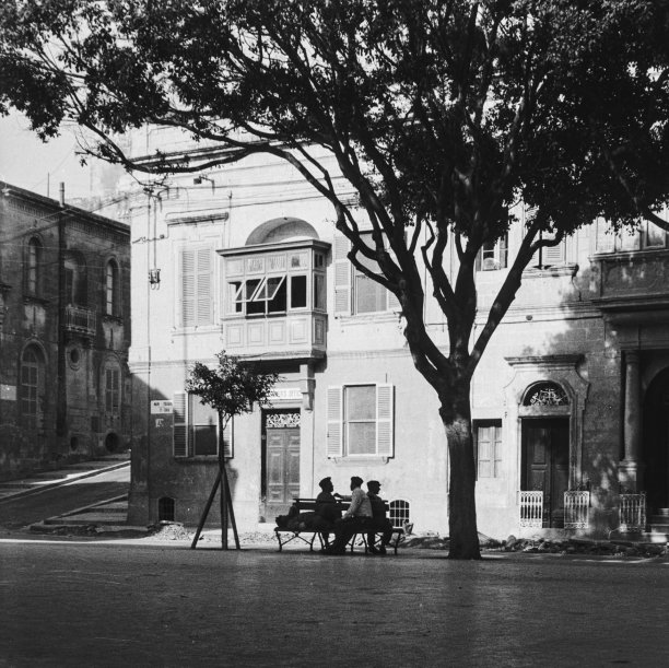 An afternoon chat in the shade of the trees at Piazza t-Tokk in Victoria in 1964, captured by Guido Stilon. Courtesy of Grace Cilia Vincenti & National Archives of Malta.