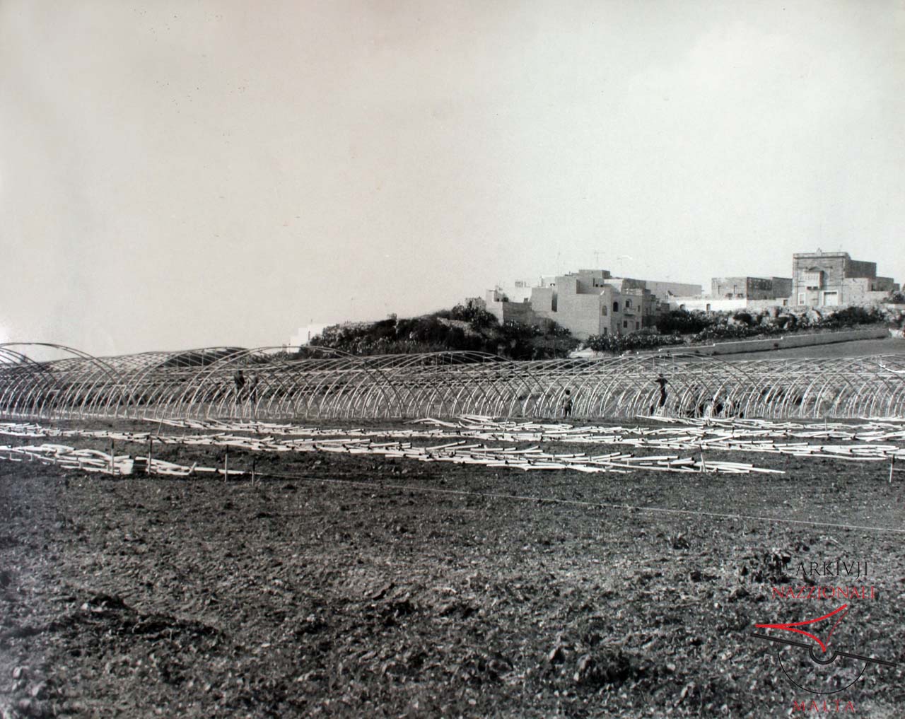 Green houses