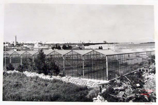 Greenhouses