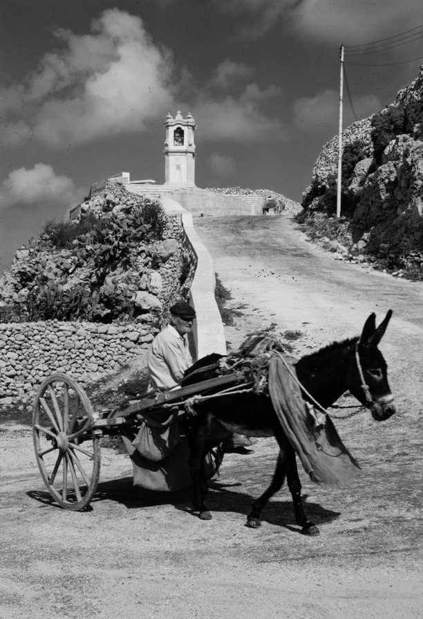 A donkey cart ascending is-Sellum in Xaghra.