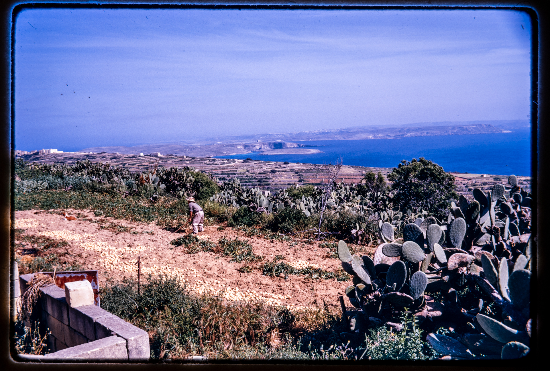 The Gozo channel and Comino captured from Nadur in 1971.