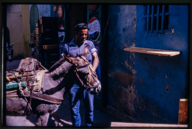 A donkey cart outside il-Bellusa Bar in Victoria.